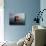 Rowboat with Reflection-null-Photographic Print displayed on a wall