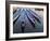 Rowboats moored at Lake Merritt, Oakland, Alameda County, California, USA-Panoramic Images-Framed Photographic Print