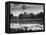 Rowers Competing in Rowing Event on Thames River-Ed Clark-Framed Premier Image Canvas