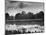 Rowers Competing in Rowing Event on Thames River-Ed Clark-Mounted Photographic Print