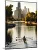 Rowers in Lincoln Park lagoon at dawn, Chicago, Illinois, USA-Alan Klehr-Mounted Photographic Print