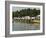 Rowing at the Henley Royal Regatta, Henley on Thames, England, United Kingdom-R H Productions-Framed Photographic Print