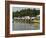 Rowing at the Henley Royal Regatta, Henley on Thames, England, United Kingdom-R H Productions-Framed Photographic Print