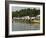 Rowing at the Henley Royal Regatta, Henley on Thames, England, United Kingdom-R H Productions-Framed Photographic Print