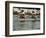 Rowing at the Henley Royal Regatta, Henley on Thames, England, United Kingdom-R H Productions-Framed Photographic Print