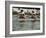 Rowing at the Henley Royal Regatta, Henley on Thames, England, United Kingdom-R H Productions-Framed Photographic Print