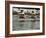 Rowing at the Henley Royal Regatta, Henley on Thames, England, United Kingdom-R H Productions-Framed Photographic Print