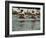 Rowing at the Henley Royal Regatta, Henley on Thames, England, United Kingdom-R H Productions-Framed Photographic Print