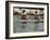 Rowing at the Henley Royal Regatta, Henley on Thames, England, United Kingdom-R H Productions-Framed Photographic Print