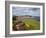 Rowing Boat and Flower Display, South Cliff Gardens, Scarborough, North Yorkshire, England-Mark Sunderland-Framed Photographic Print