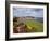 Rowing Boat and Flower Display, South Cliff Gardens, Scarborough, North Yorkshire, England-Mark Sunderland-Framed Photographic Print