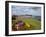 Rowing Boat and Flower Display, South Cliff Gardens, Scarborough, North Yorkshire, England-Mark Sunderland-Framed Photographic Print