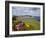 Rowing Boat and Flower Display, South Cliff Gardens, Scarborough, North Yorkshire, England-Mark Sunderland-Framed Photographic Print