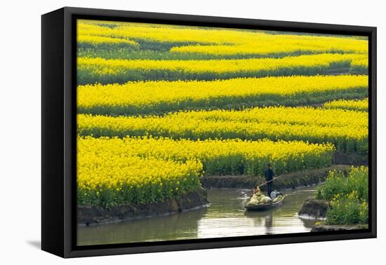 Rowing boat on river through Thousand-Islet canola flower fields, Xinghua, Jiangsu Province, China-Keren Su-Framed Premier Image Canvas