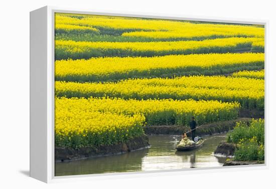 Rowing boat on river through Thousand-Islet canola flower fields, Xinghua, Jiangsu Province, China-Keren Su-Framed Premier Image Canvas