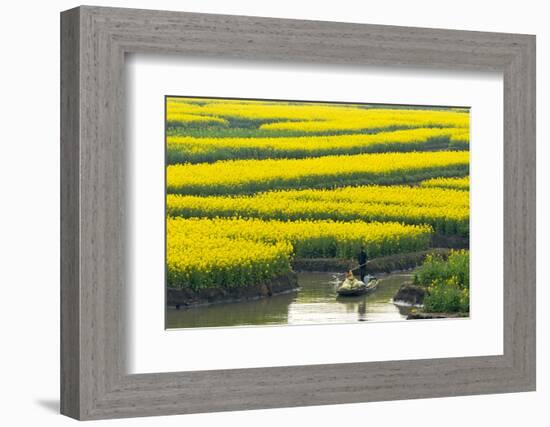 Rowing boat on river through Thousand-Islet canola flower fields, Xinghua, Jiangsu Province, China-Keren Su-Framed Photographic Print