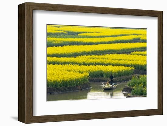 Rowing boat on river through Thousand-Islet canola flower fields, Xinghua, Jiangsu Province, China-Keren Su-Framed Photographic Print