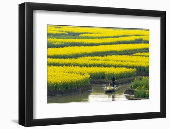 Rowing boat on river through Thousand-Islet canola flower fields, Xinghua, Jiangsu Province, China-Keren Su-Framed Photographic Print