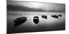 Rowing Boats in the Morning Fog at Sunrise, Edersee Reservoir, Hessen, Germany-Andreas Vitting-Mounted Photographic Print