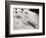 Rowing, Oxford V Cambridge Boat Race, 1928-null-Framed Photographic Print