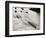 Rowing, Oxford V Cambridge Boat Race, 1928-null-Framed Photographic Print