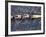 Rowing Shell in Montlake Cut, Seattle, Washington, USA-Stuart Westmoreland-Framed Photographic Print