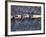 Rowing Shell in Montlake Cut, Seattle, Washington, USA-Stuart Westmoreland-Framed Photographic Print