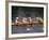 Rowing Shell in Montlake Cut, Seattle, Washington, USA-Stuart Westmoreland-Framed Photographic Print