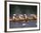 Rowing Shell in Montlake Cut, Seattle, Washington, USA-Stuart Westmoreland-Framed Photographic Print