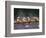 Rowing Shell in Montlake Cut, Seattle, Washington, USA-Stuart Westmoreland-Framed Photographic Print