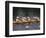 Rowing Shell in Montlake Cut, Seattle, Washington, USA-Stuart Westmoreland-Framed Photographic Print