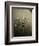 Rowing Team, C1913-null-Framed Photographic Print