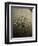 Rowing Team, C1913-null-Framed Photographic Print