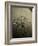 Rowing Team, C1913-null-Framed Photographic Print