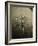 Rowing Team, C1913-null-Framed Photographic Print