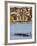 Rowing Team on Lake Union, Seattle, Washington State, United States of America, North America-Christian Kober-Framed Photographic Print