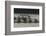 Rowing-Milan Malovrh-Framed Photographic Print