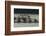 Rowing-Milan Malovrh-Framed Photographic Print