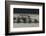 Rowing-Milan Malovrh-Framed Photographic Print