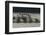 Rowing-Milan Malovrh-Framed Photographic Print