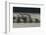 Rowing-Milan Malovrh-Framed Photographic Print