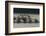 Rowing-Milan Malovrh-Framed Photographic Print