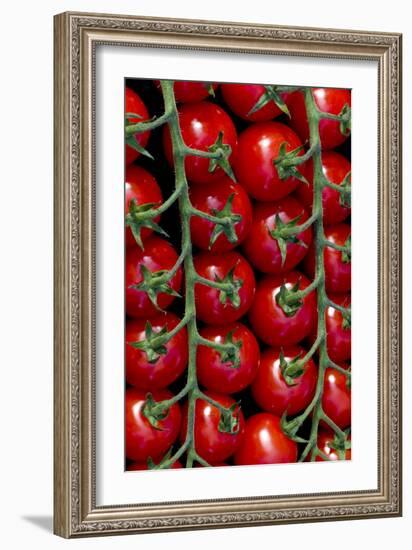 Rows Of Cherry Tomatoes-Charles Bowman-Framed Photographic Print