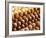 Rows of Chocolates in a French Cafe, France, Europe-Frank Fell-Framed Photographic Print