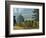 Rows of Grapevines Among Forest Trees of Domain Drouhin Vineyard in Red Hills, Dundee, Oregon, USA-Janis Miglavs-Framed Photographic Print