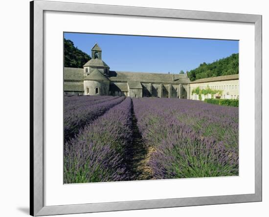 Rows of Lavender at the Abbaye De Senanque, Vaucluse, Provence, France, Europe-Bruno Morandi-Framed Photographic Print