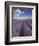 Rows of Lavender Plants, Broadway, Worcestershire, Cotswolds, England, UK-Neale Clarke-Framed Photographic Print