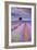 Rows Of Lavender-Michael Blanchette Photography-Framed Photographic Print