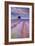 Rows Of Lavender-Michael Blanchette Photography-Framed Photographic Print