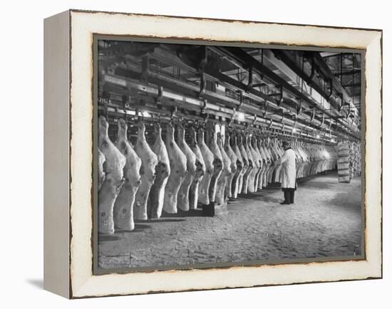 Rows of Meat in Storage at Bronx Warehouse-Herbert Gehr-Framed Premier Image Canvas